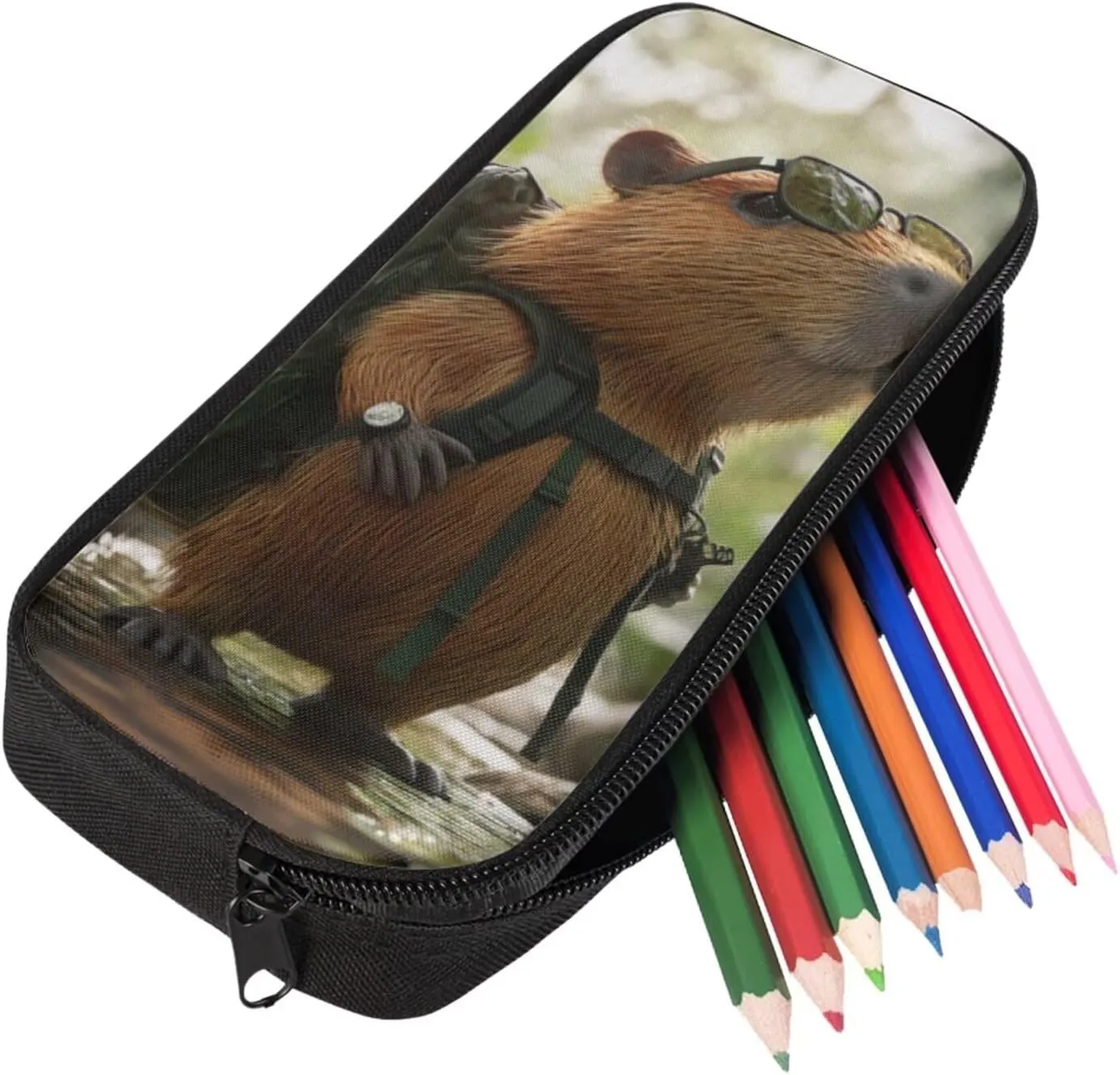 Capybara Backpack for School Boys Cool Portable Elementary School Bag with Dual Zipper Lightweight Lunch Bag with Handle 17 Inch Hiking Back Pack 3 in 1
