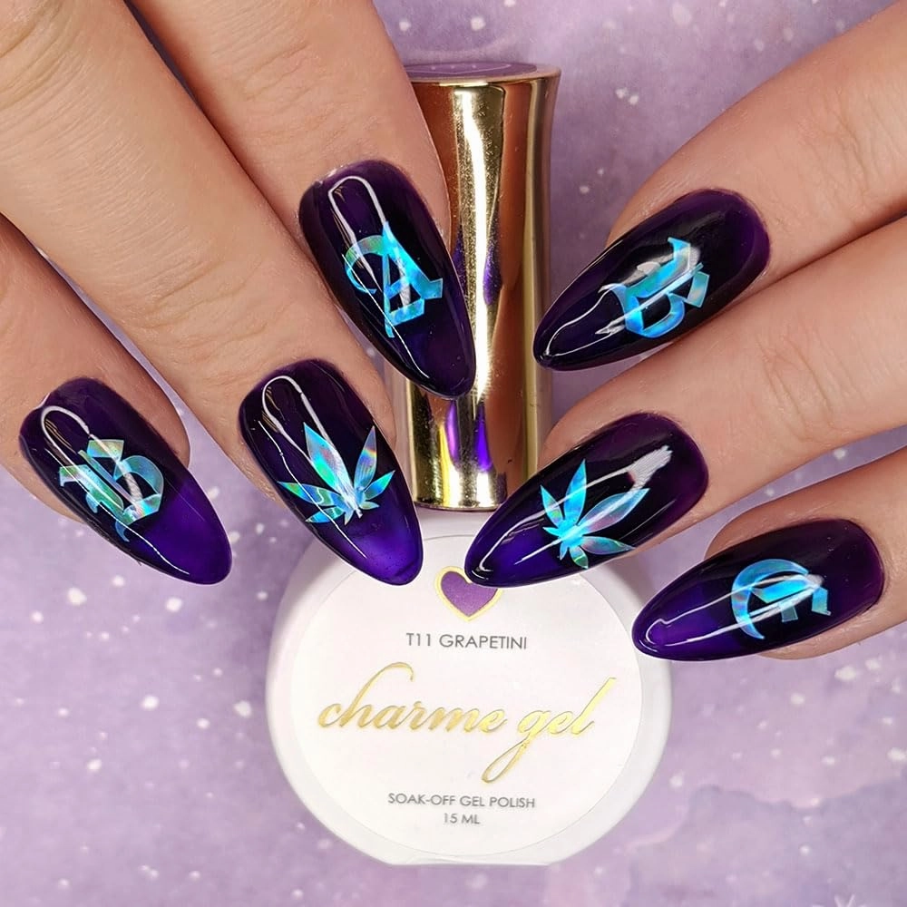 Daily Charme T11 Grapetini Gel Nail Polish, Transparent Glass Colors Sheer Soak Off UV Led Gel Nail Polish, Home DIY/Nail Salon Manicure (Purple)