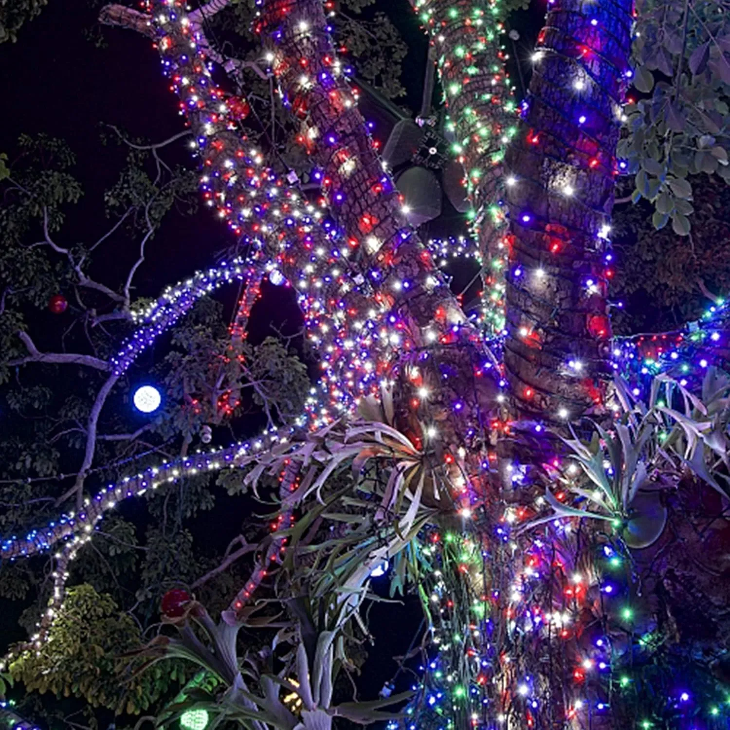 HOME LIGHTING 200 LED 66FT Fairy String Lights, July 4th Patriotic Light with 8 Lighting Modes, Mini Lights Plug in for Indoor Outdoor Independence Day Tree Holiday Party Decor, Red & Blue & White