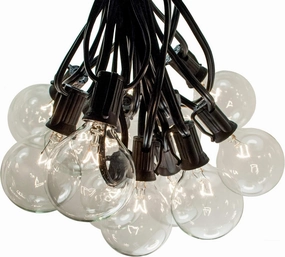 Hometown Evolution, Inc. 25’ G50 Globe Patio String Lights with Clear 2” Light Bulbs and Black Wire (  1 Free Spare)