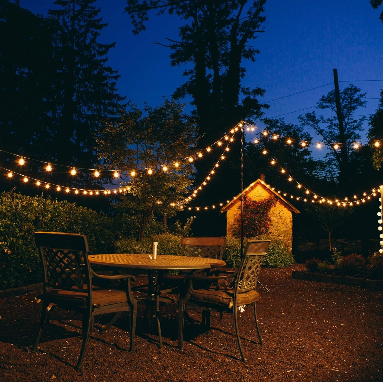Hometown Evolution, Inc. 25’ G50 Globe Patio String Lights with Clear 2” Light Bulbs and Black Wire (  1 Free Spare)
