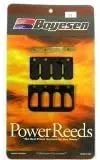 ITAL-JET Power Reed Kit Ascot 50 / Bazzoka 50 / Pista 50 / Reporter 50 Motorcycle/ATV Boyesen 711
