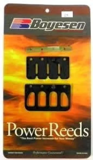 Johnson Evinrude Power Reed Kit 40 Hp 1984-2005 Boyesen 124