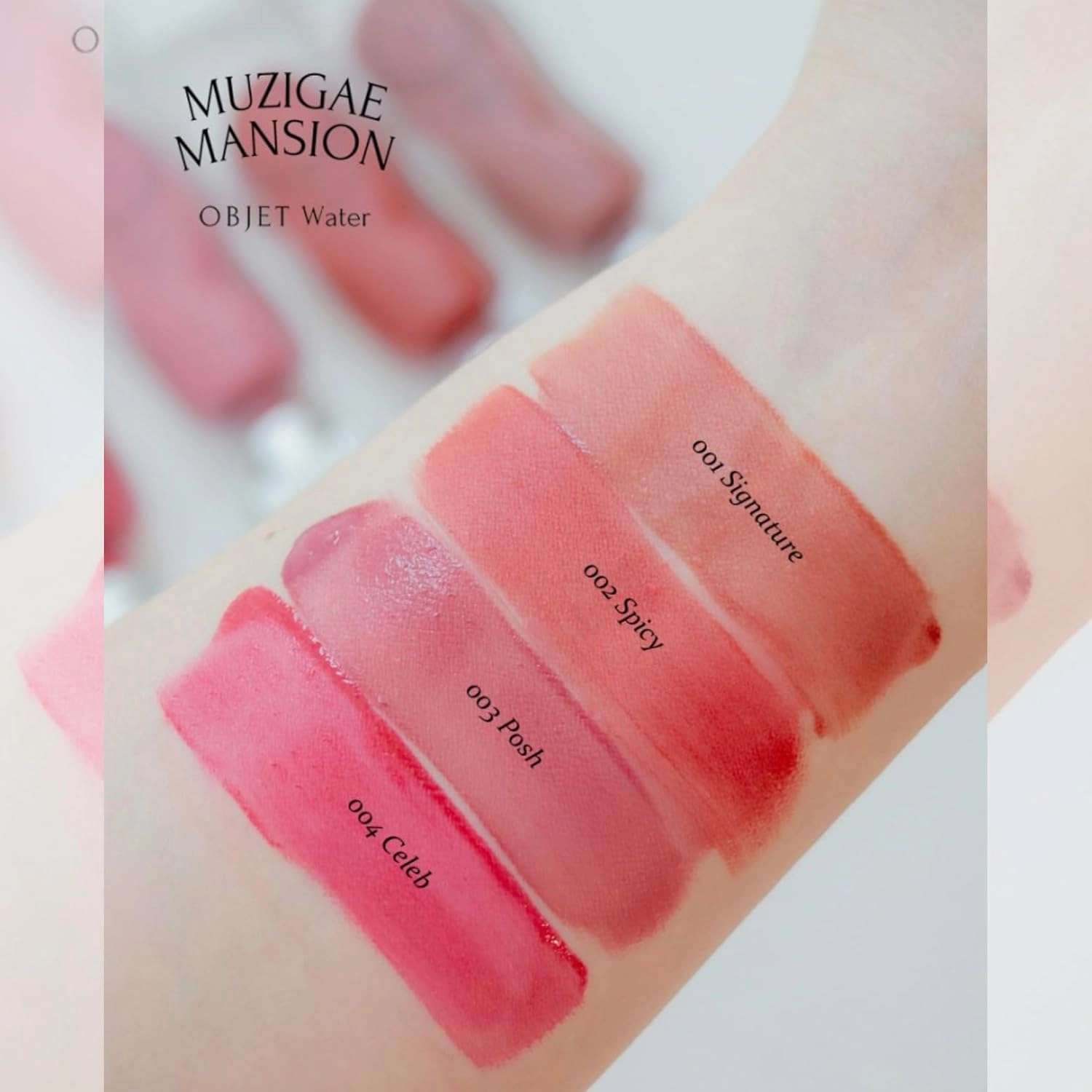 Objet Water Lip Stain Matte Lipstick – (Watery to Blurry Tint), Long-Lasting, Hydrating, Waterproof Wear – K-Beauty Liquid Lipstick for Women, Bold Red Tinted Gloss (005 DIVA)