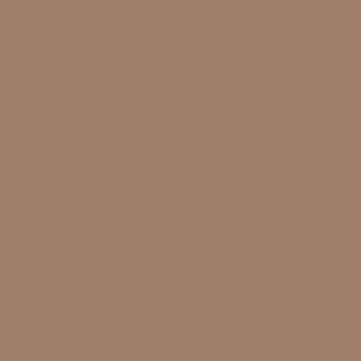 Plume - Nourish   Define Natural Brow Pencil | Clean, Plant-Based, Vegan (Autumn Sun)